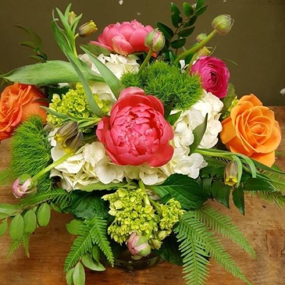 Meet your Posher, Estella - Picture 1 of 1